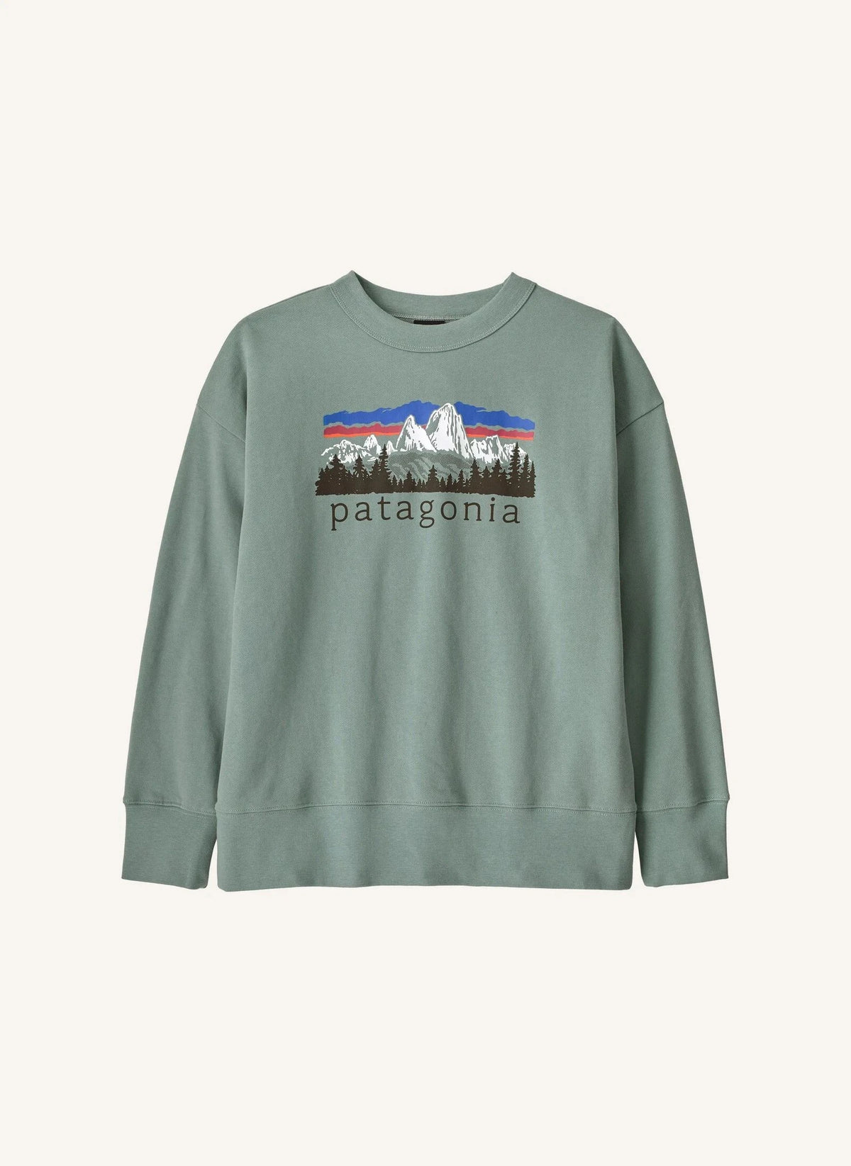 Patagonia - Patagonia राउंड नेक स्वेटशर्ट | स्टील
