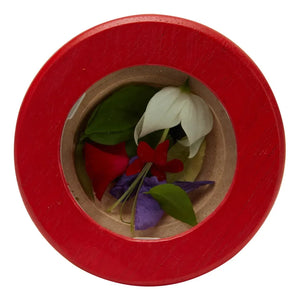 Plan Toys - मेरा पहला बहुरूपदर्शक