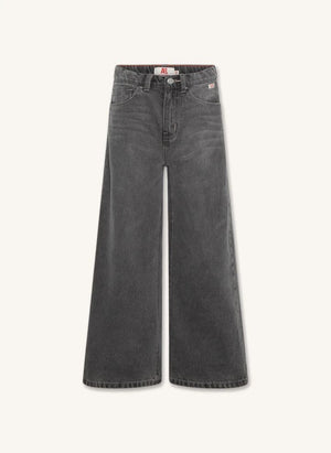 AO76 - Jean Zina Blake | Denim gri