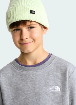 The North Face - Simple Done Sweatshirt | Gri melanj