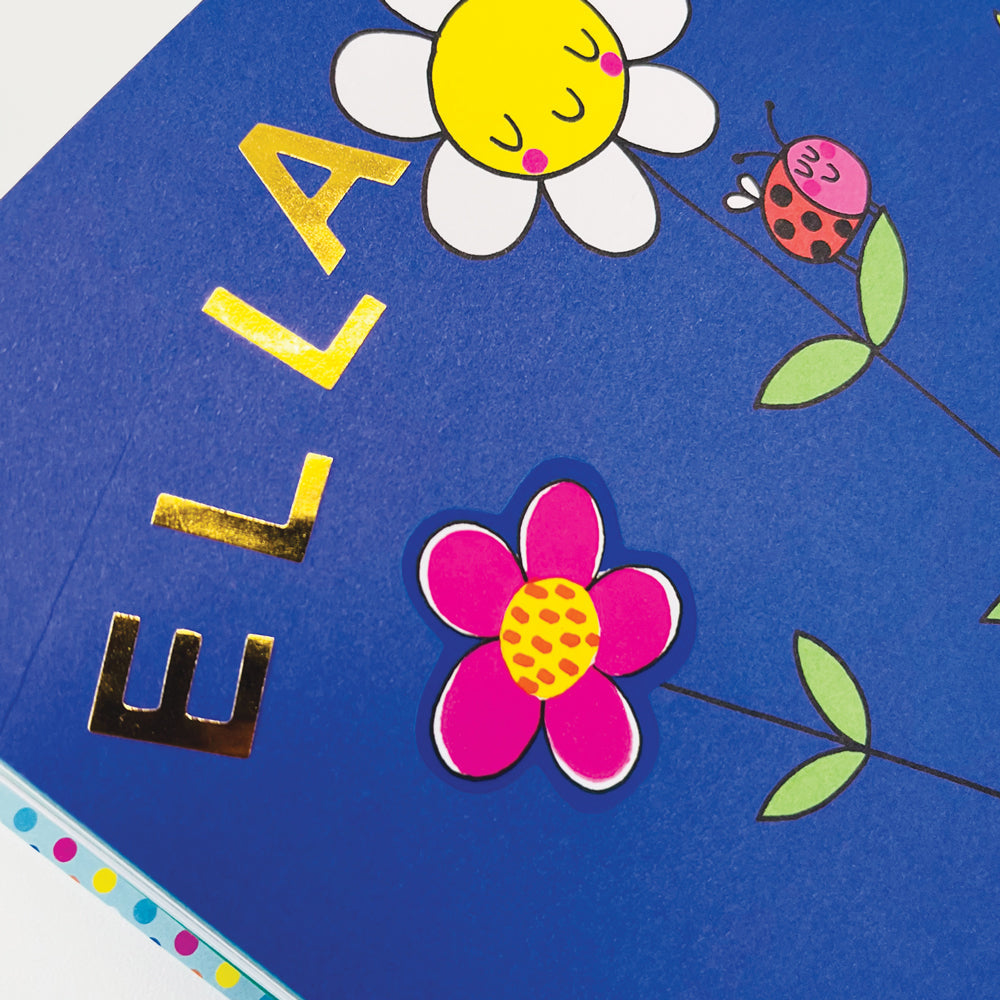 Rachel Ellen - हमारा ग्रह प्यार करें स्टिकर सीन पेंटिंग और गतिविधि पुस्तक