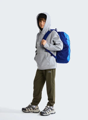 The North Face - Essential Drew Peak Kapüşonlu Üst | Gri melanj