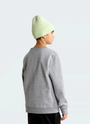 The North Face - Simple Done Sweatshirt | Gri melanj