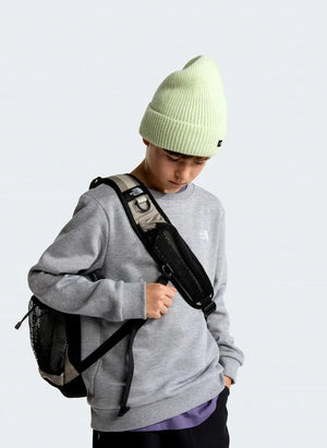 The North Face - Simple Done Sweatshirt | Gri melanj