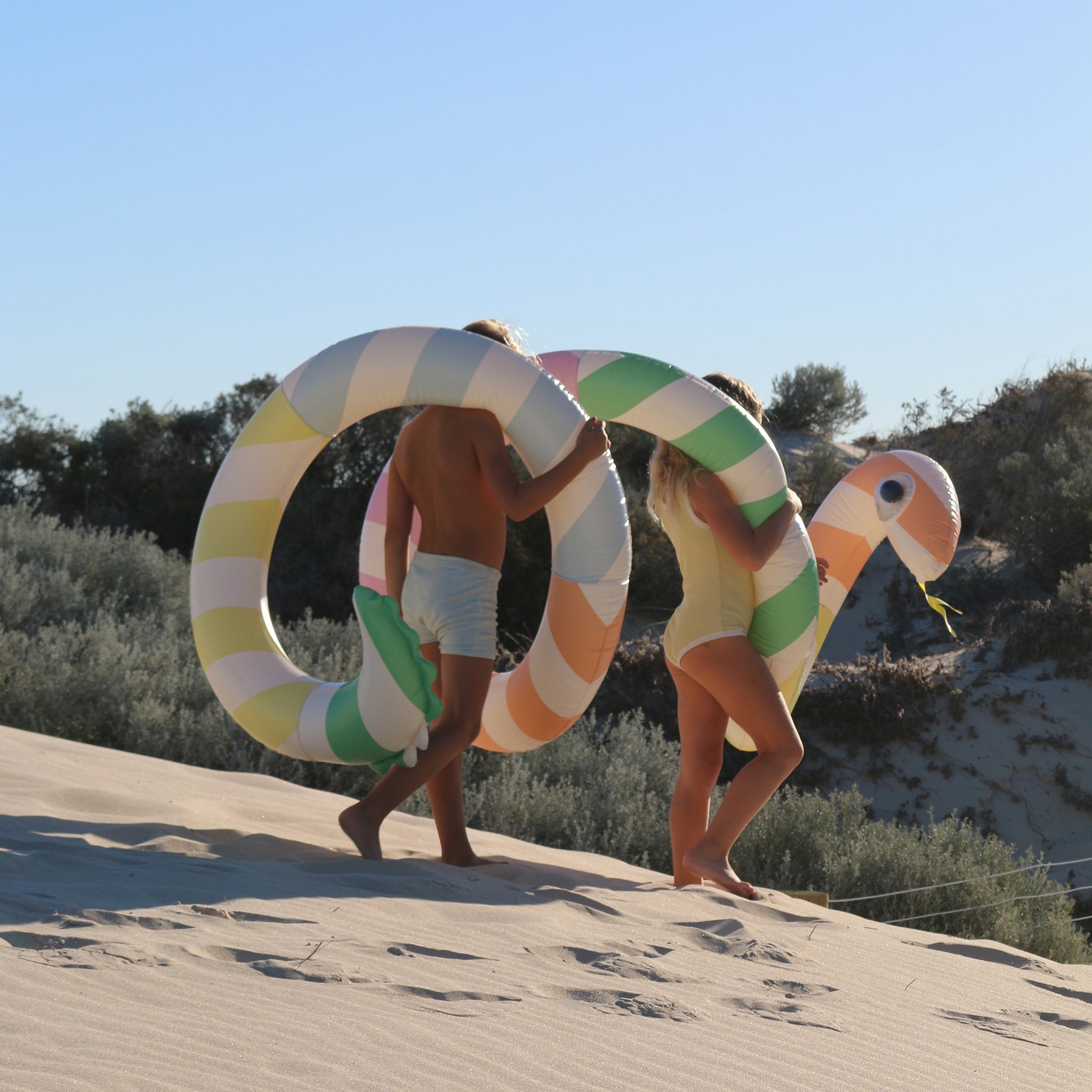 Sunnylife - विशाल सांप फुलाने वाला पूल मनोरंजन और बिस्तर