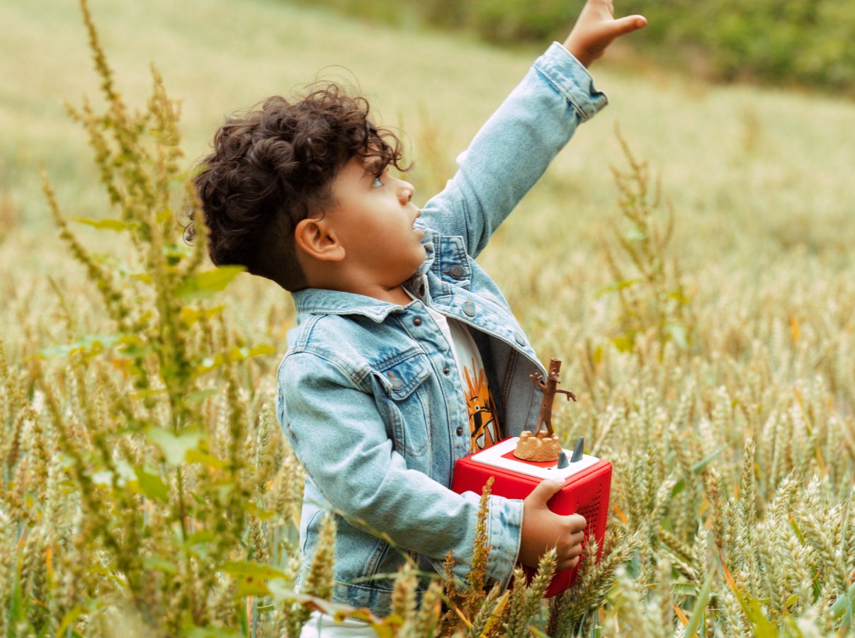 Tonies - जूलिया डोनाल्डसन स्टिक मैन अंग्रेज़ी ध्वनि आकृति