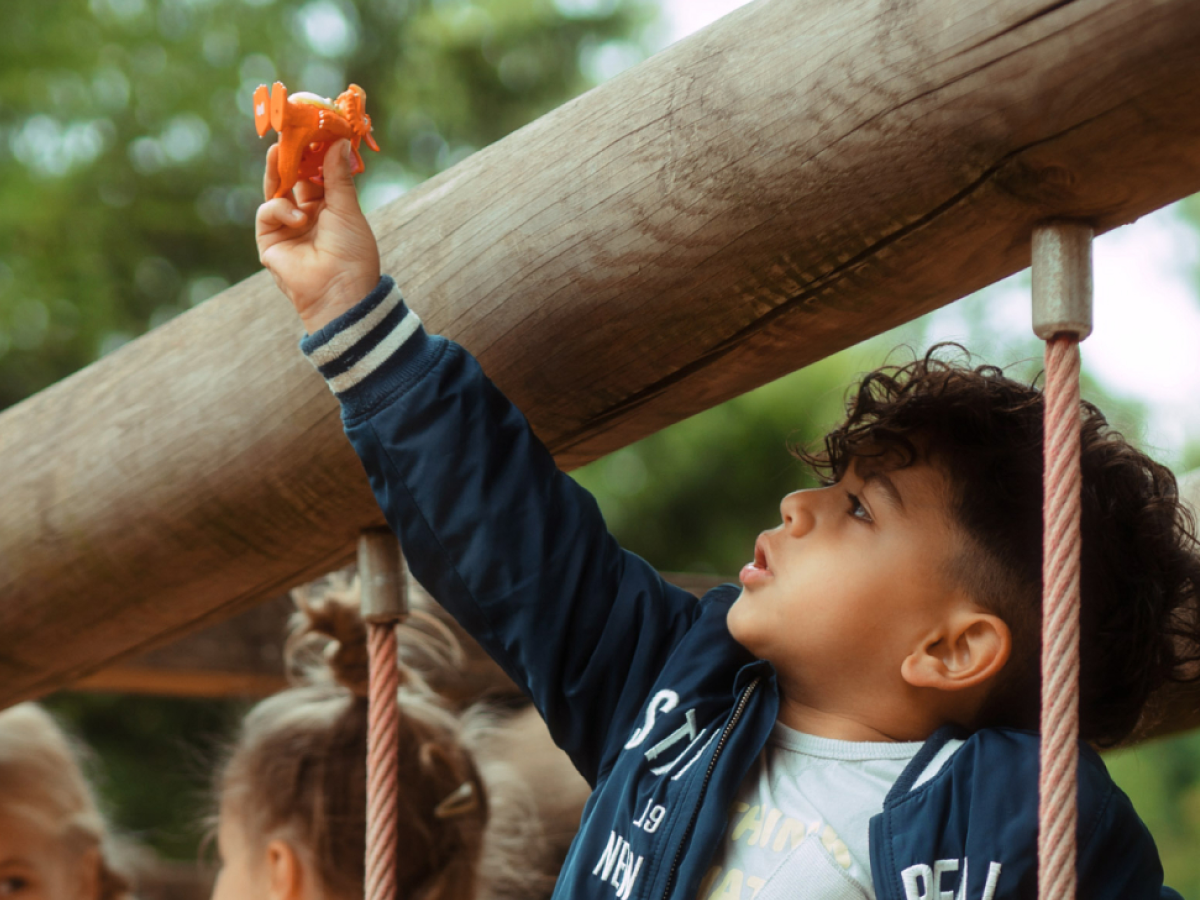 Tonies - जूलिया डोनाल्डसन ज़ॉग अंग्रेज़ी ध्वनि आकृति