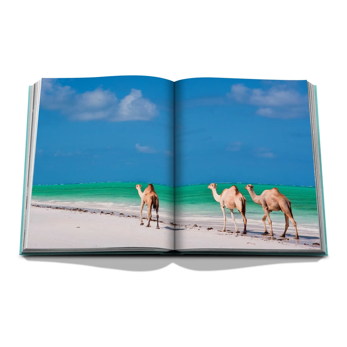 Assouline - लाल सागर: सऊदी तट