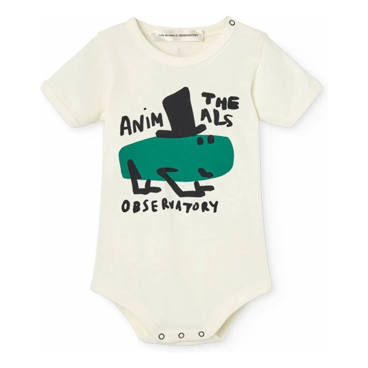The Animals Observatory - सफ़ेद चिंपांज़ी बॉडी