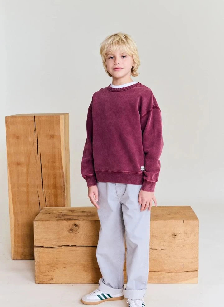 AO76 - Oscar Anniversary geri dönüştürülmüş pamuk sweatshirt | Bordo