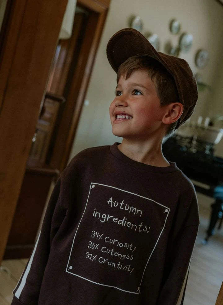 Fliink - एल्विन ऑटम ऑर्गेनिक कॉटन स्वेटशर्ट | भूरा