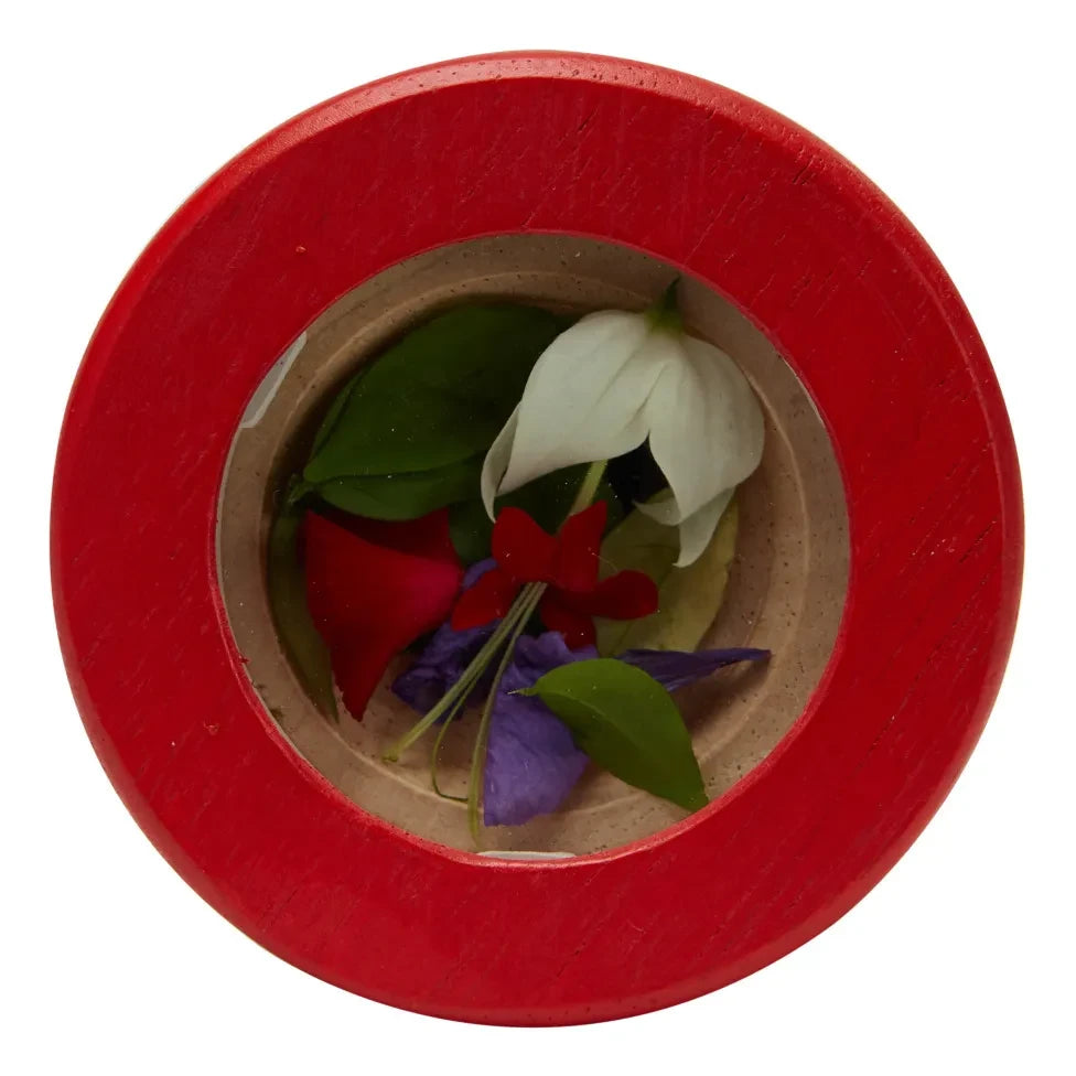 Plan Toys - मेरा पहला बहुरूपदर्शक