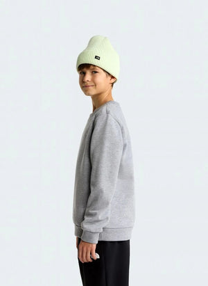 The North Face - Simple Done Sweatshirt | Gri melanj