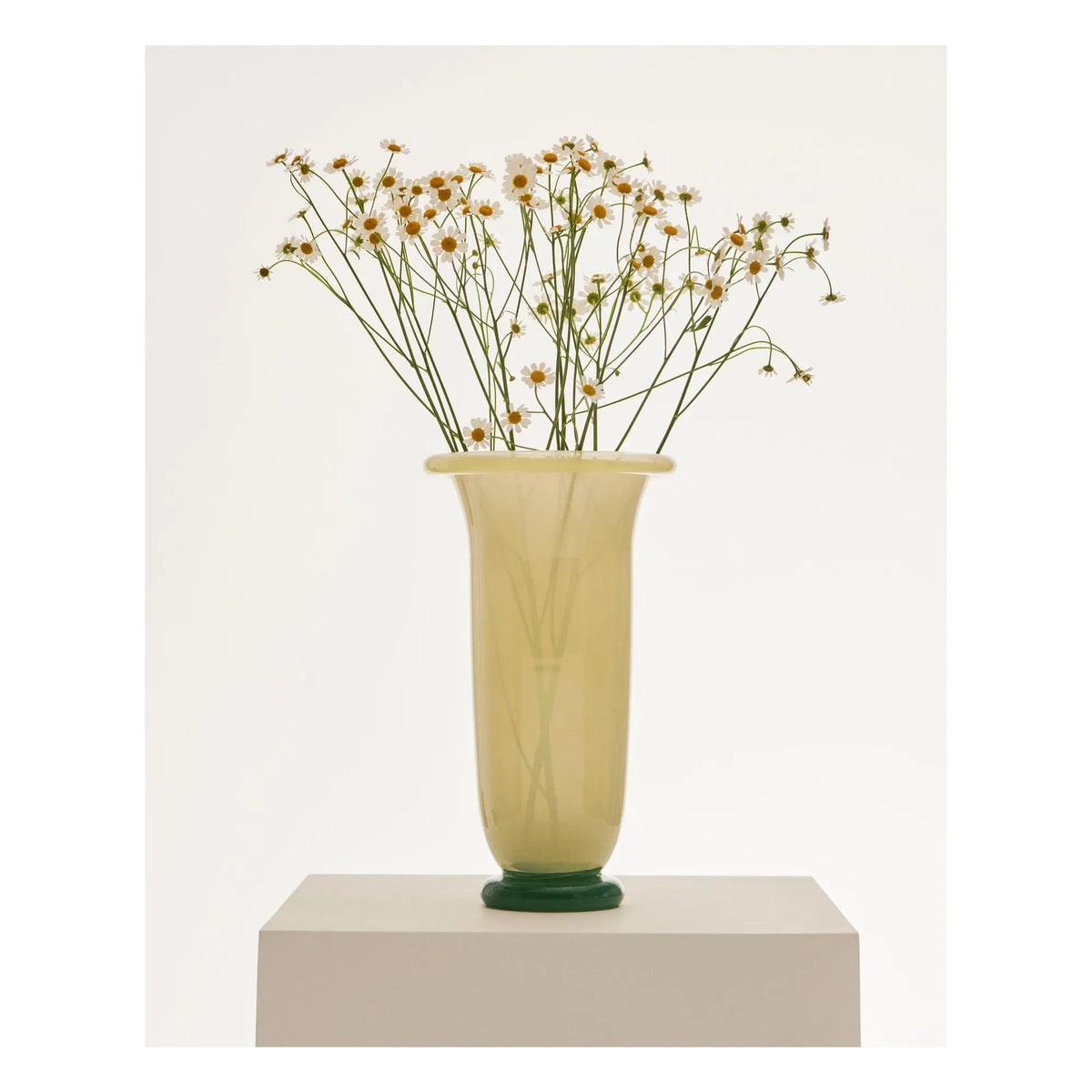 Hay - एम्पायर वेस | पीला