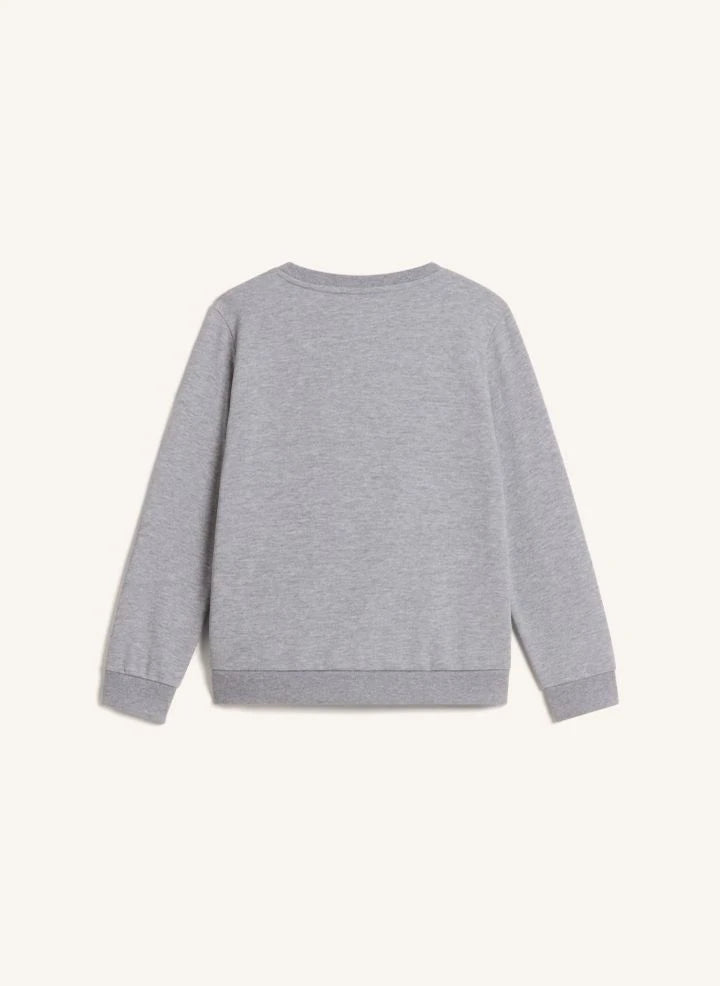 The North Face - Simple Done Sweatshirt | Gri melanj
