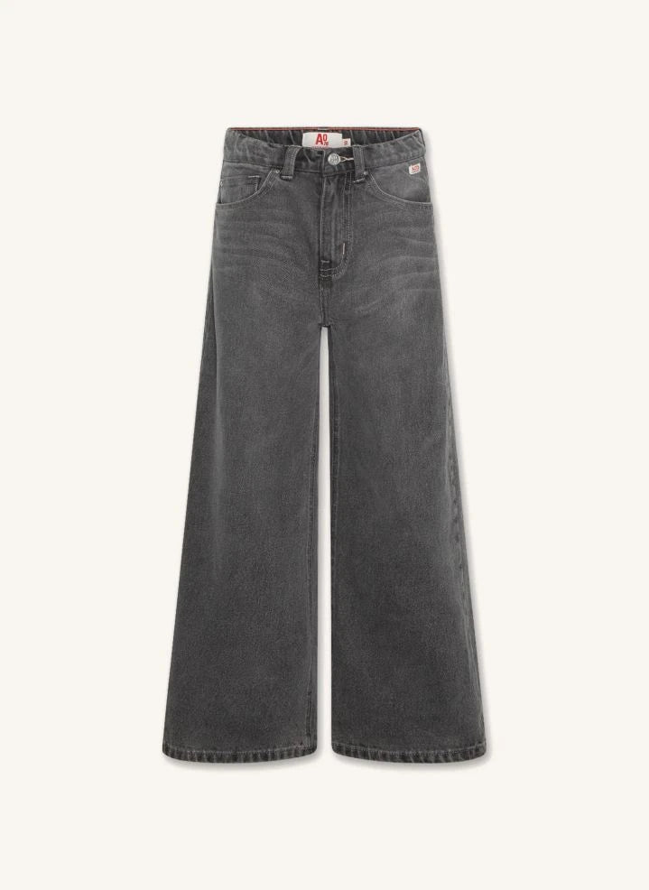 AO76 - Jean Zina Blake | Denim gri