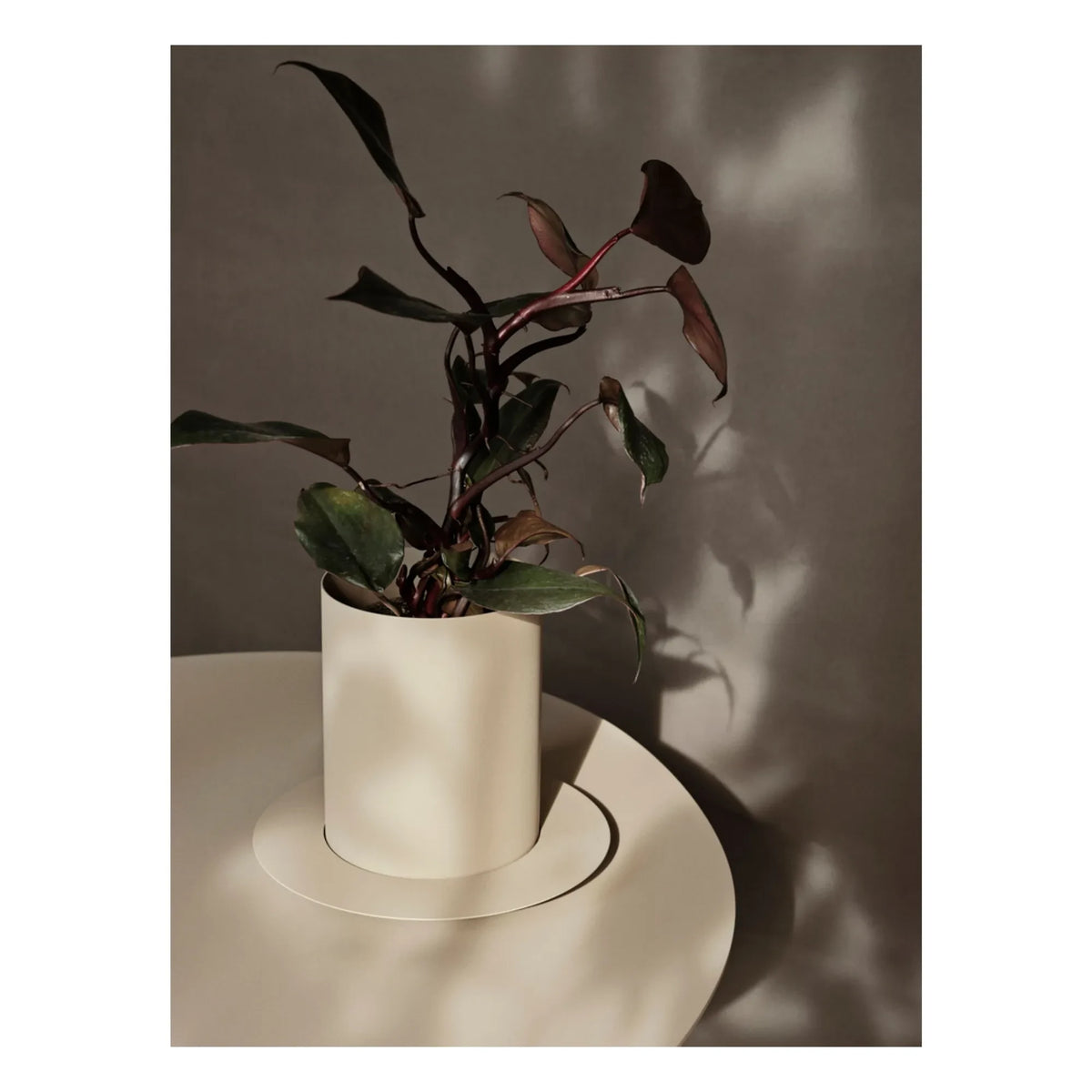 Ferm Living - Auran गमला | बेज