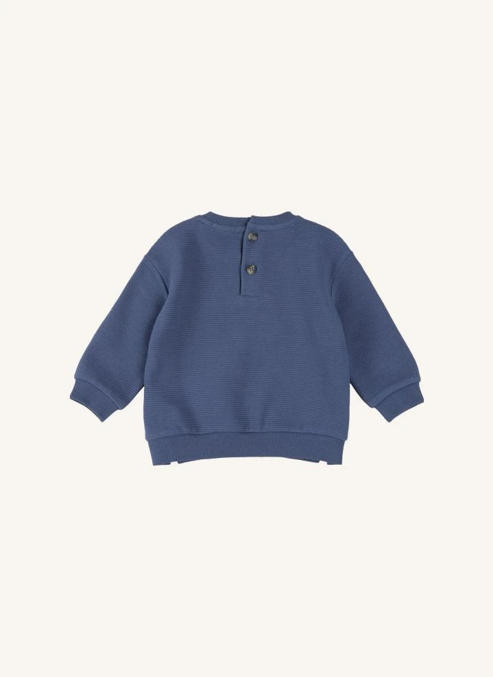 Petit Lem - Organik Pamuk Köpek Sweatshirt ve Jogger Seti | Mavi
