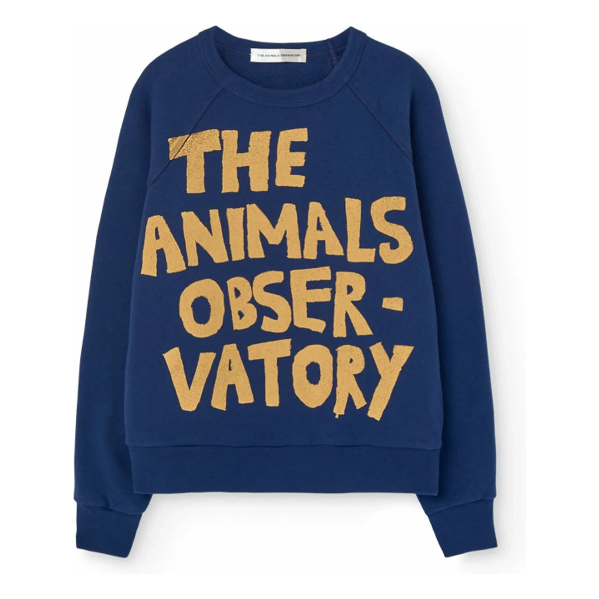 The Animals Observatory - स्वेट शार्क The Animals Observatory | गहरा नीला