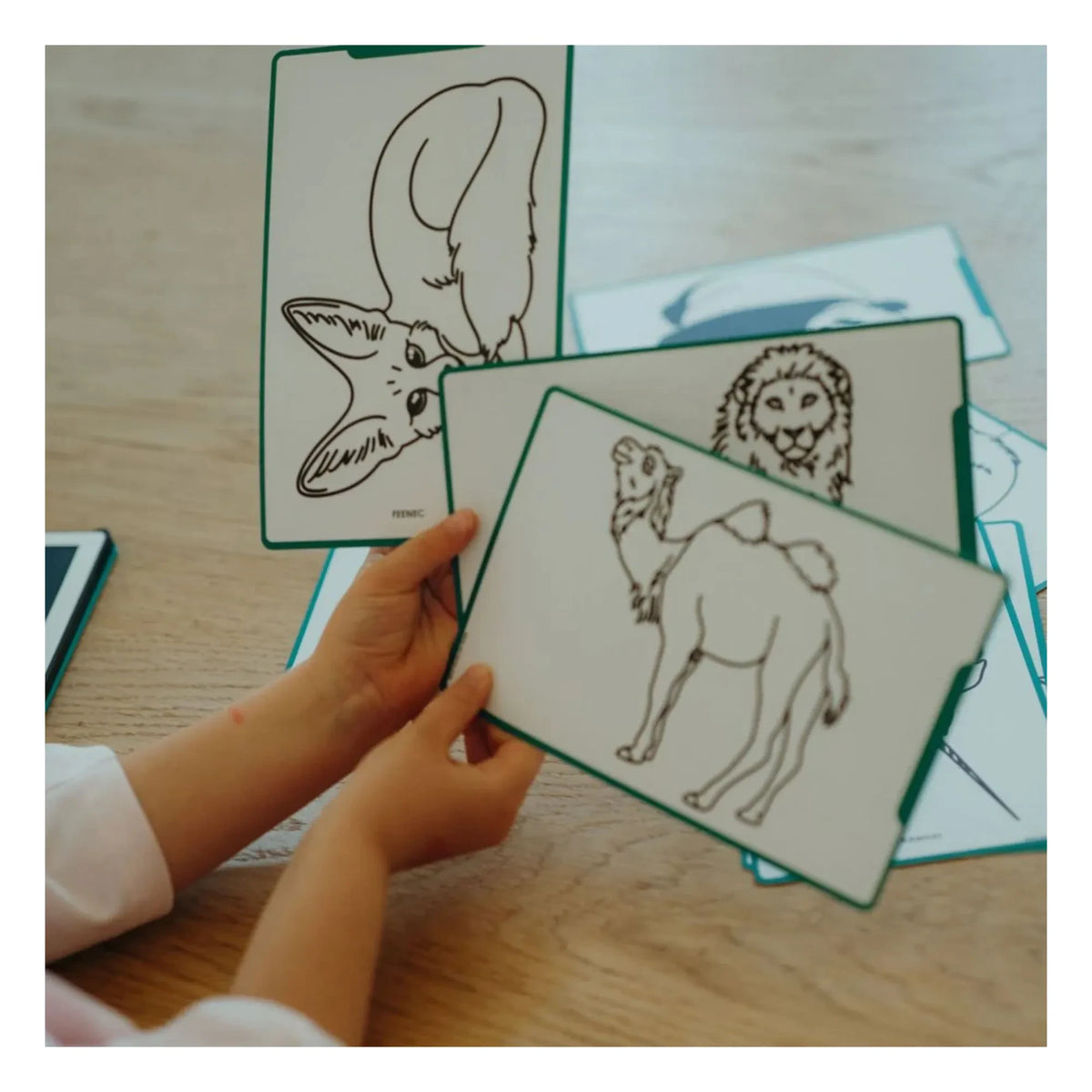 Kidywolf - Kidydraw Mini çizim tahtası | Koyu yeşil -> Kidywolf - Kidydraw Mini ड्राइंग बोर्ड | गहरा हरा