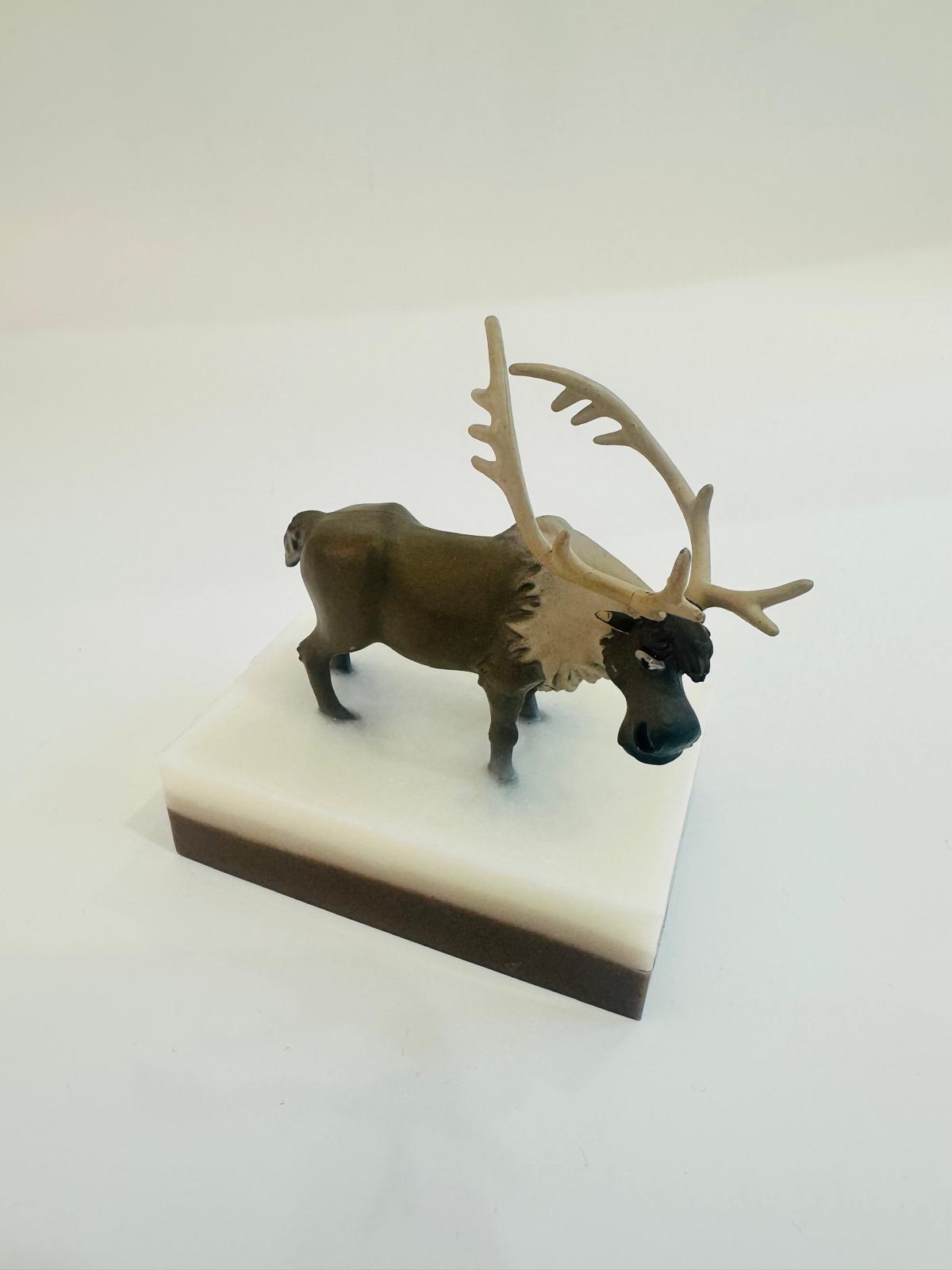 Baveal – बच्चों का वन साहसिक नमी देने वाला हाथ और शरीर साबुन