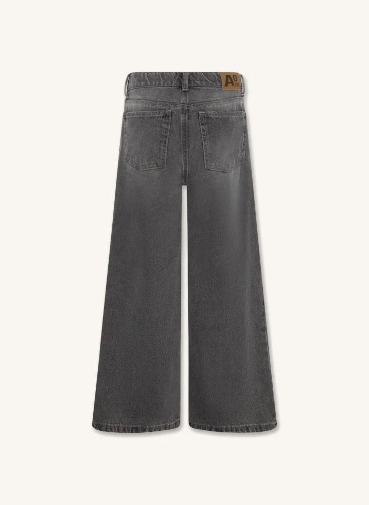 AO76 - Jean Zina Blake | Denim gri