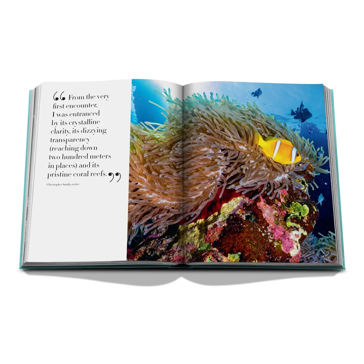 Assouline - लाल सागर: सऊदी तट