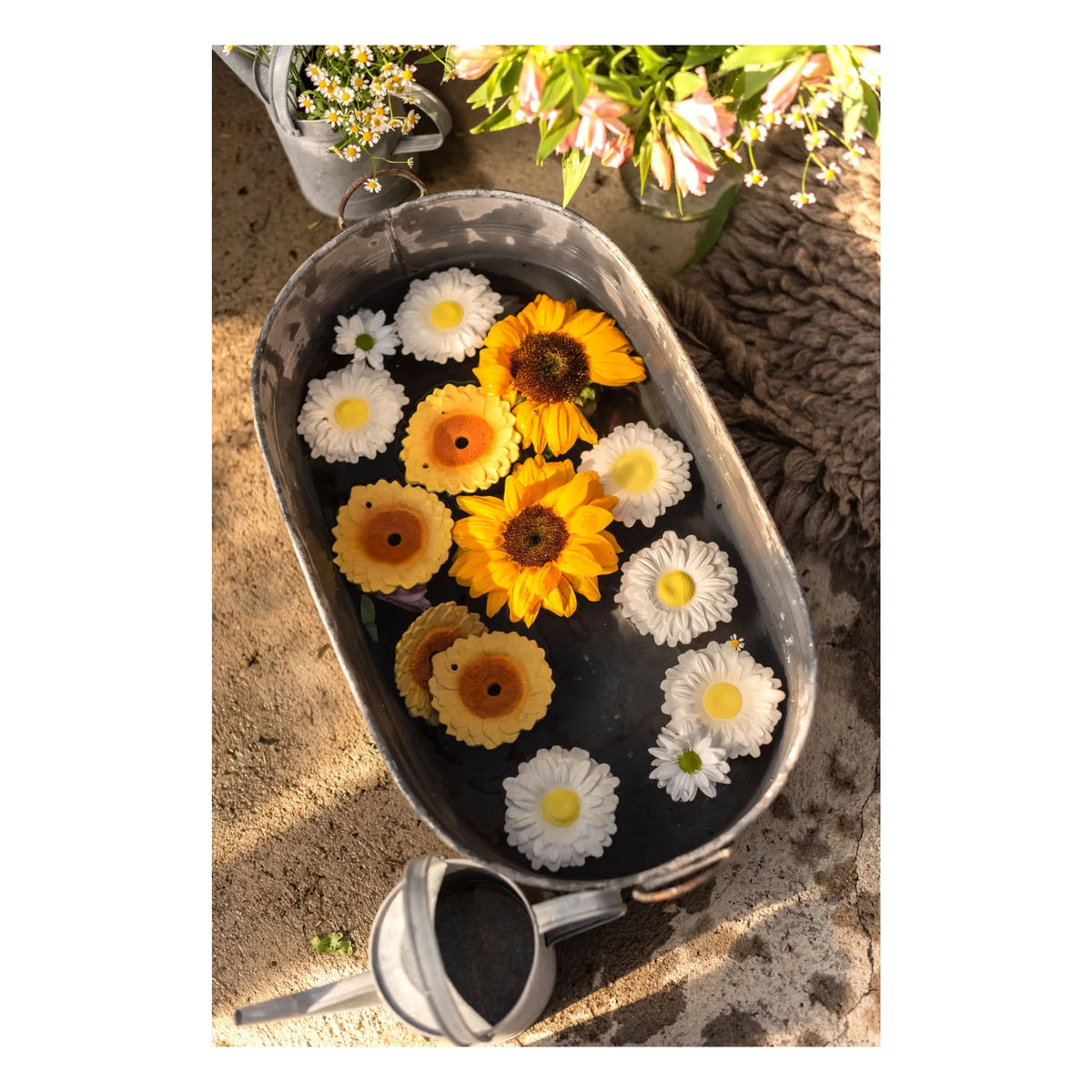 Oli & Carol - Sun the sunflower दांतों का खिलौना (टीथर)