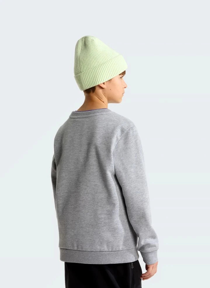 The North Face - Simple Done Sweatshirt | Gri melanj