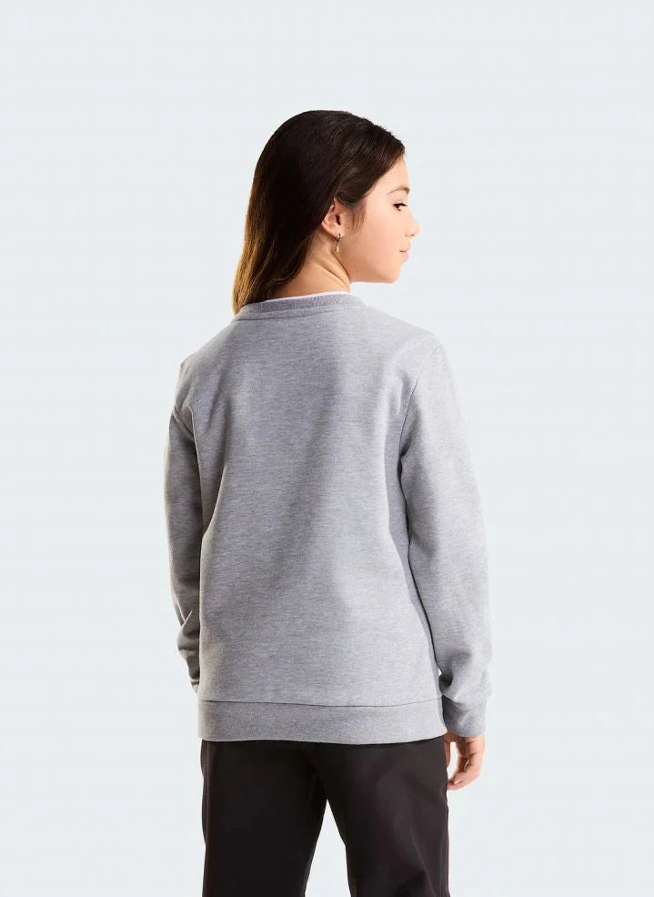 The North Face - Simple Done Sweatshirt | Gri melanj