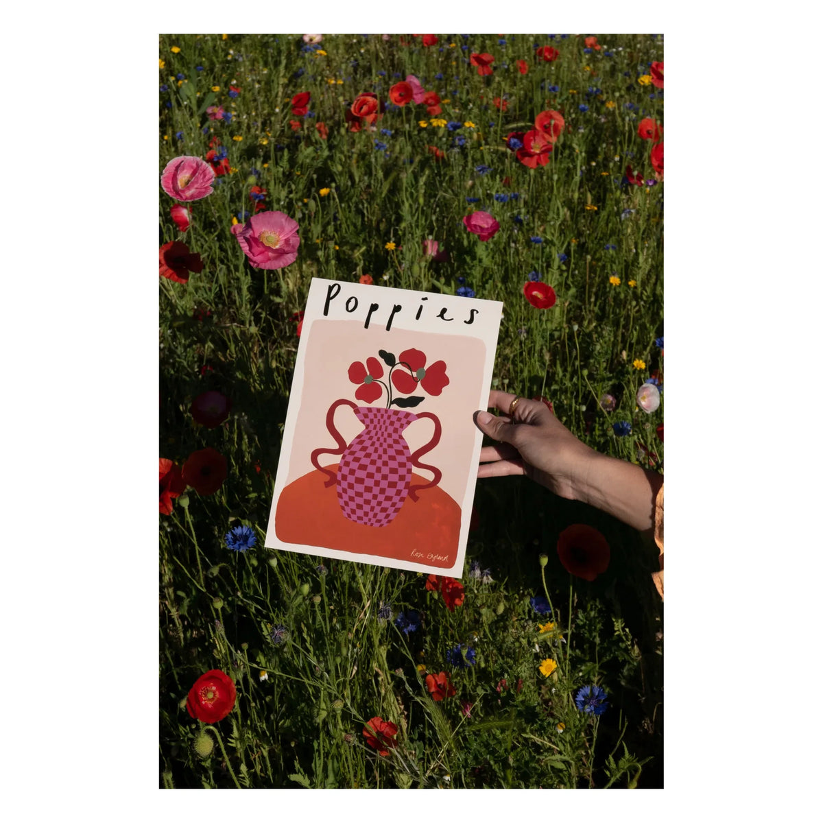 Rose England - Pembe Gelincikler Posteri
