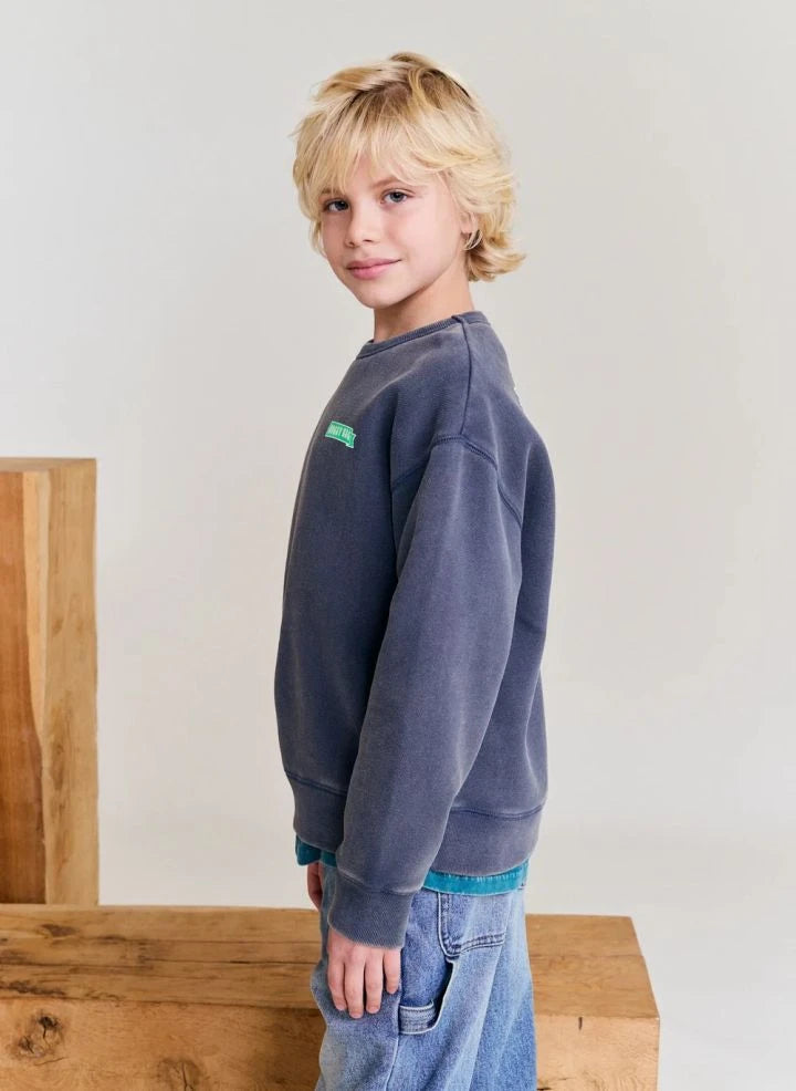 AO76 - Oscar Doggy geri dönüştürülmüş pamuk sweatshirt | Kömür grisi