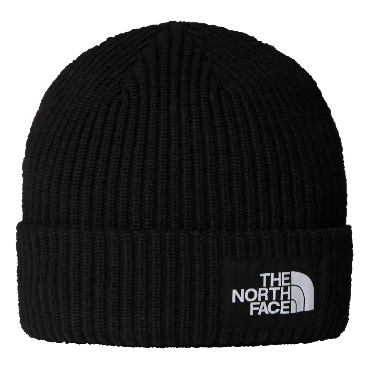 The North Face - Salty Lined बीनी | ग्रे