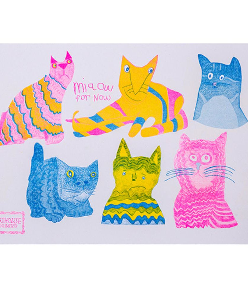 पोर्टिको डिज़ाइंस - आर्थहाउस अनलिमिटेड म्याऊ A5 सख्त कवर वाली दैनिक