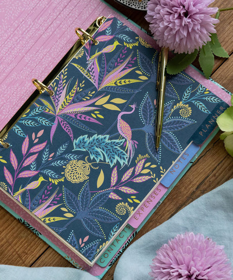 पोर्टिको डिज़ाइंस - सारा मिलर: ऊंटपक्षी और ताड़ के पेड़ आयोजक एजेंडा