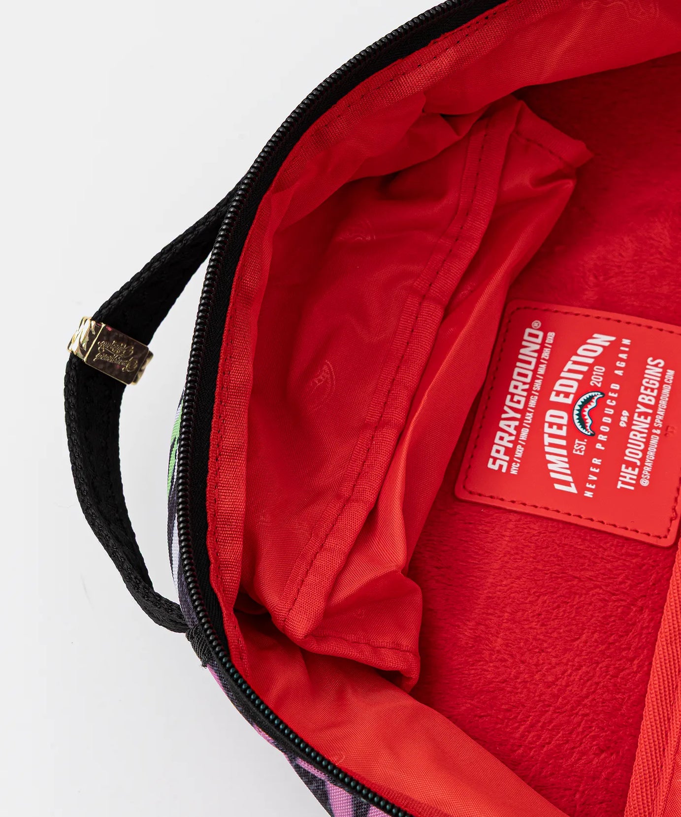 Sprayground - पेंटेड पंक Dlxr बैकपैक