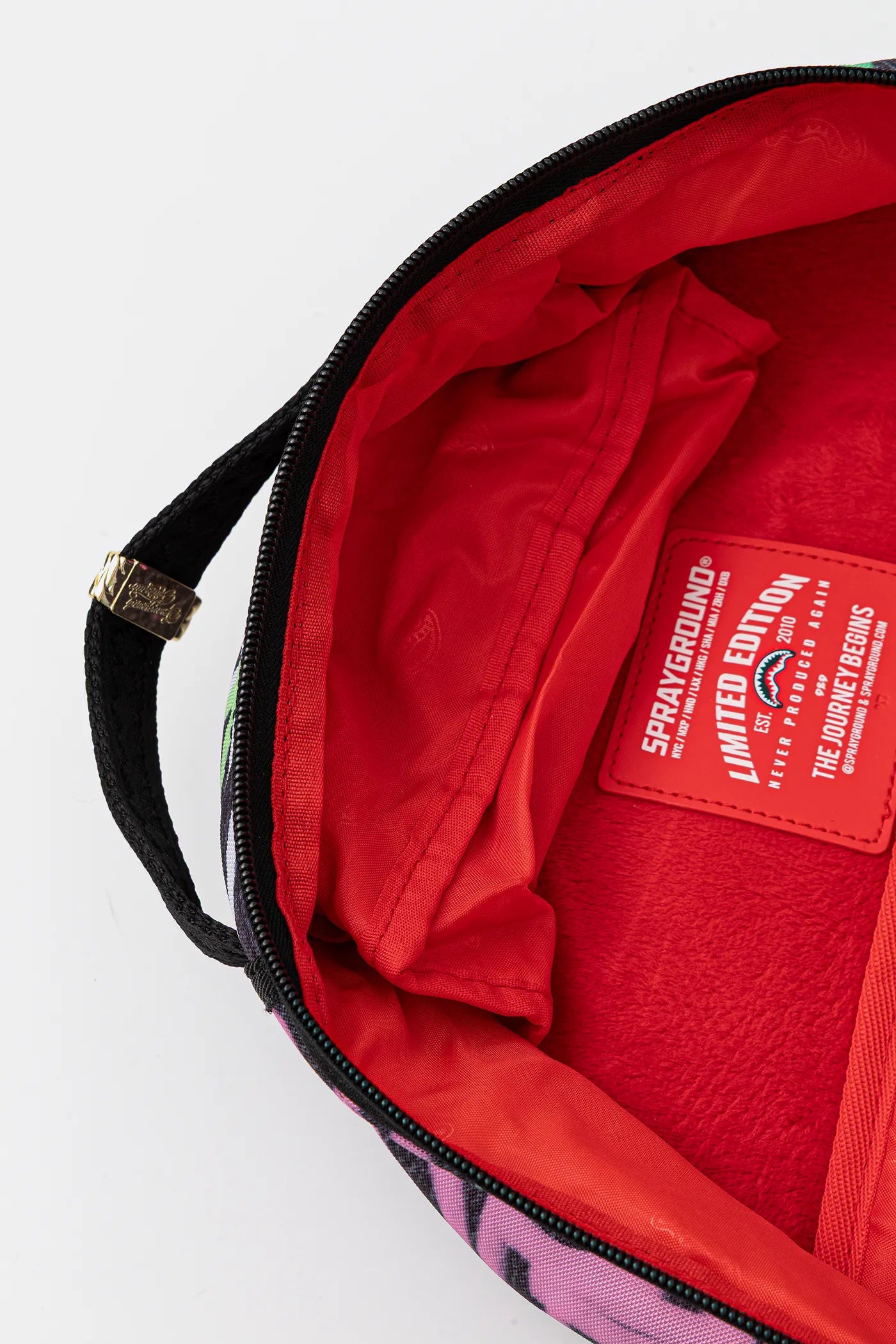 Sprayground - पेंटेड पंक Dlxr बैकपैक