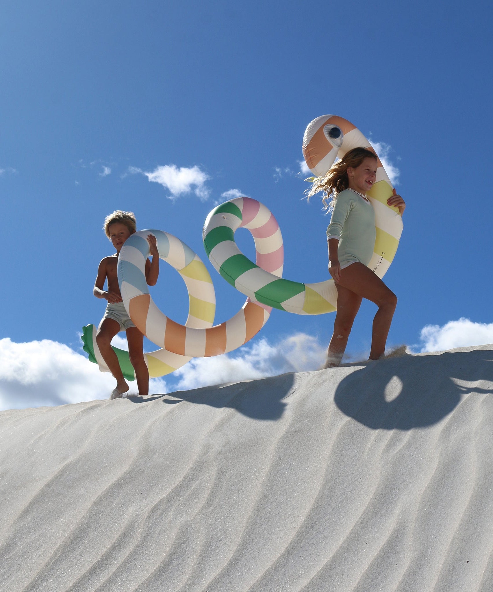 Sunnylife - विशाल सांप फुलाने वाला पूल मनोरंजन और बिस्तर