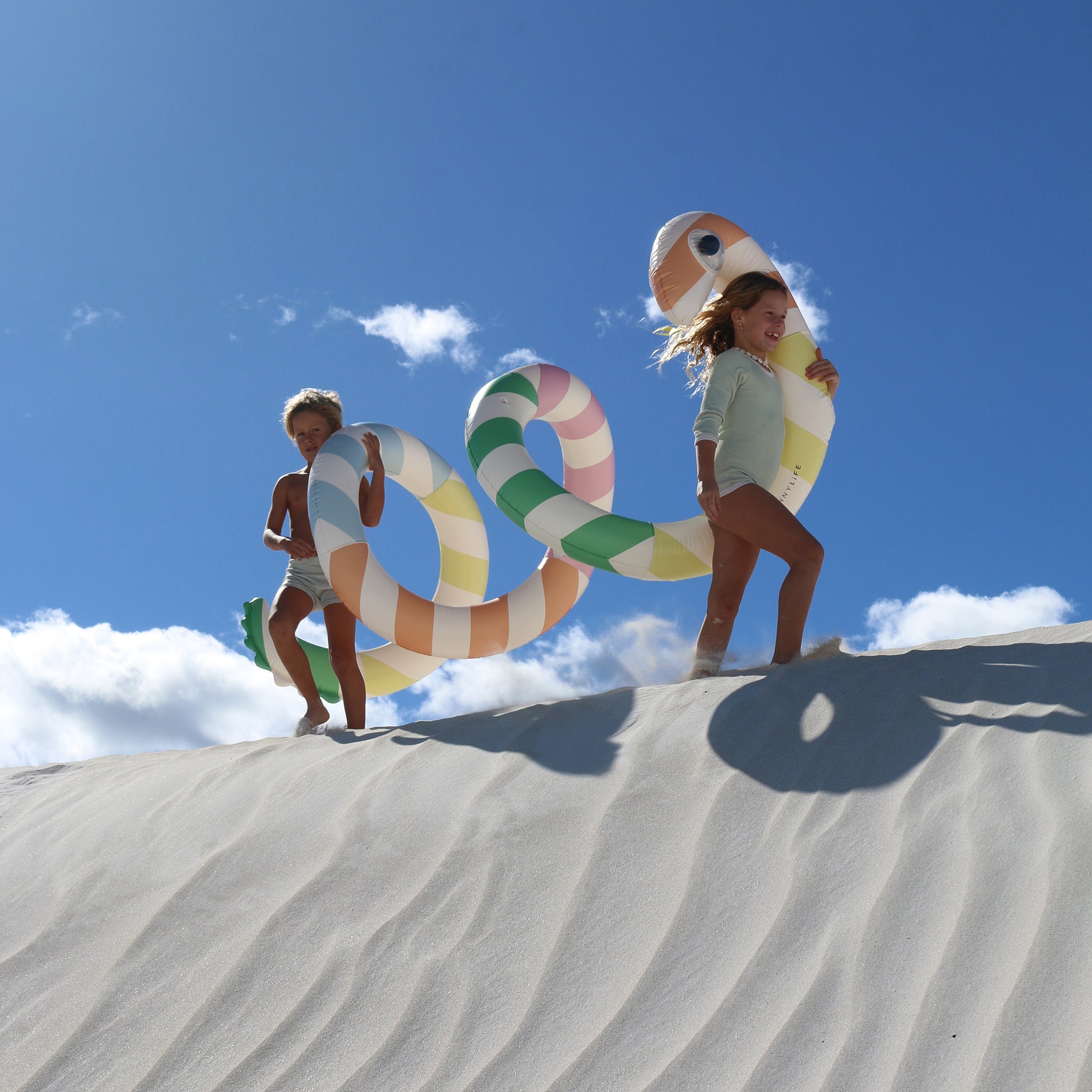 Sunnylife - विशाल सांप फुलाने वाला पूल मनोरंजन और बिस्तर