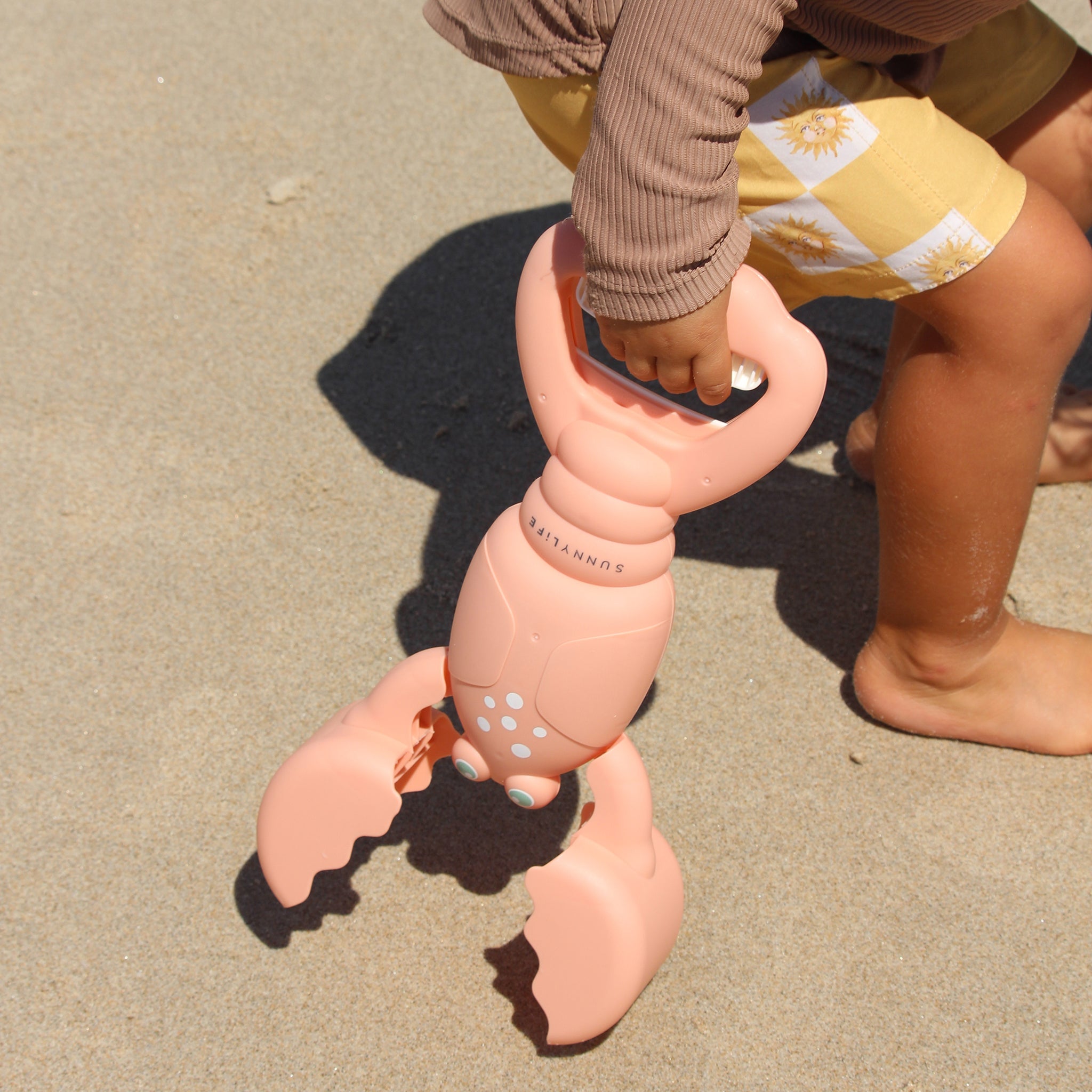 Sunnylife - लॉबस्टर कोरल रेत संग्रहण खिलौना