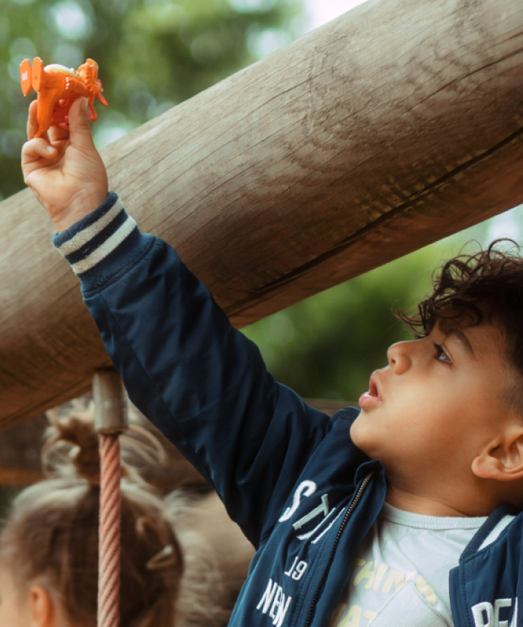 Tonies - जूलिया डोनाल्डसन ज़ॉग अंग्रेज़ी ध्वनि आकृति